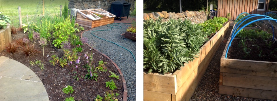 two views of the newly-planted garden