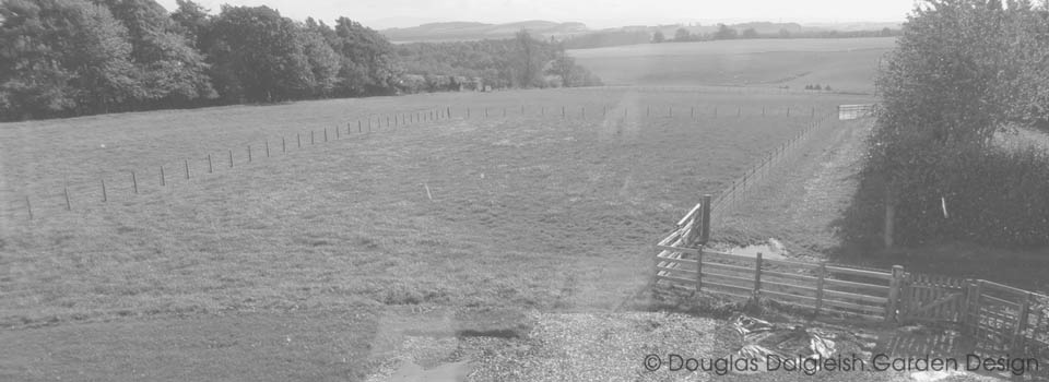 view of grazing field before it became a garden