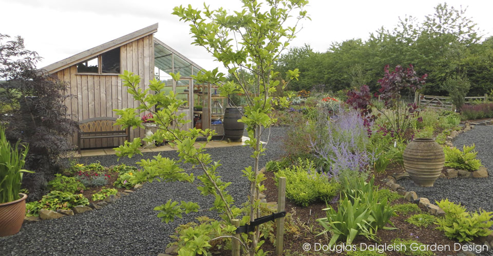 larch shed behind garden shrubs