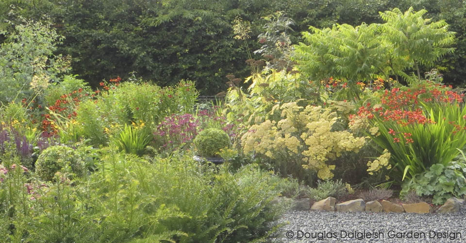 flowers and foliage in garden border